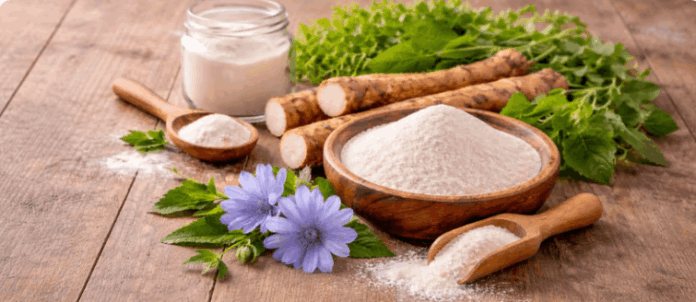 SlimLeaf ingredient  - Chicory Inulin (211mg)